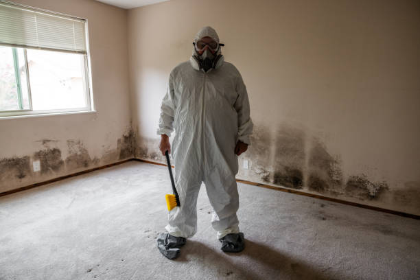 Professional Mold Removal in Waupun, WI