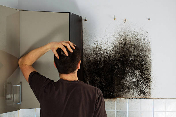 Best Emergency Mold Removal  in Waupun, WI